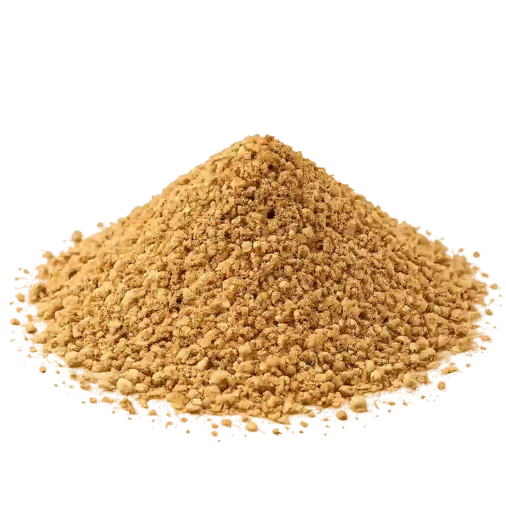 Coriander Powder