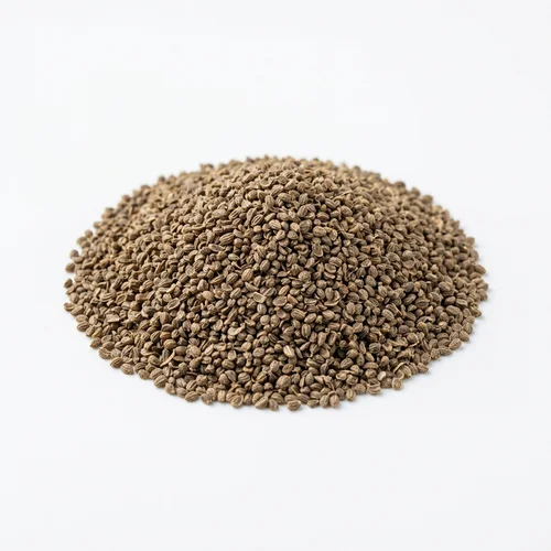 Celery Seed