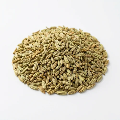 Fennel Whole